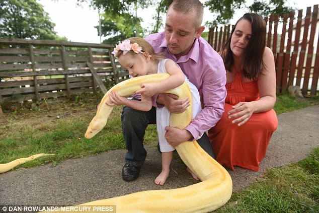 parents-let-their-two-year-old-daughter-to-kiss-a-15ft-long-burmese-python