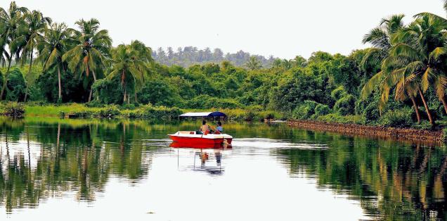 sarovaram-biopark-in-kozhikode