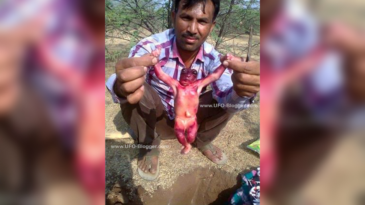 mysterious-alien-humanoid-like-creature-discovered-in-india-while-digging-for-water