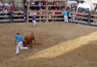 Bullfighter gored to death during a summer fe