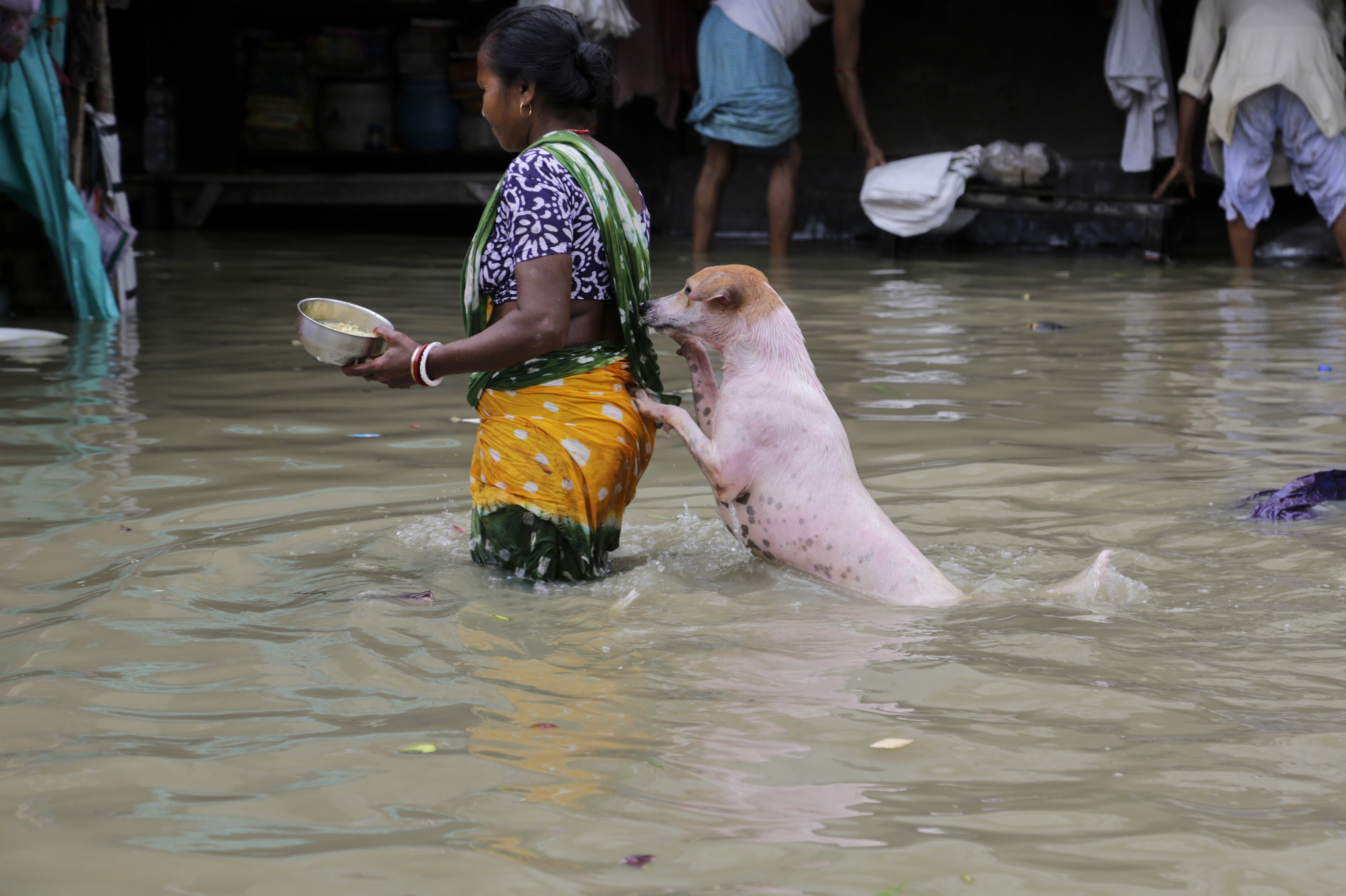heavy-floods-in-india-kill-more-than-100