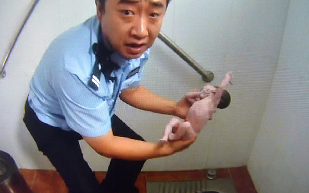 infant-girl-saved-from-a-pipe-in-public-toilet-by-chinese-policemen