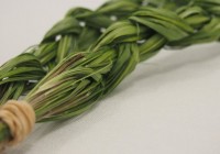 Secrets of sweet-smelling mosquito-repellent 