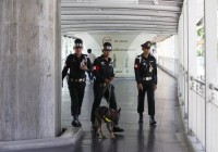 Thailand wants interpol help in their search 