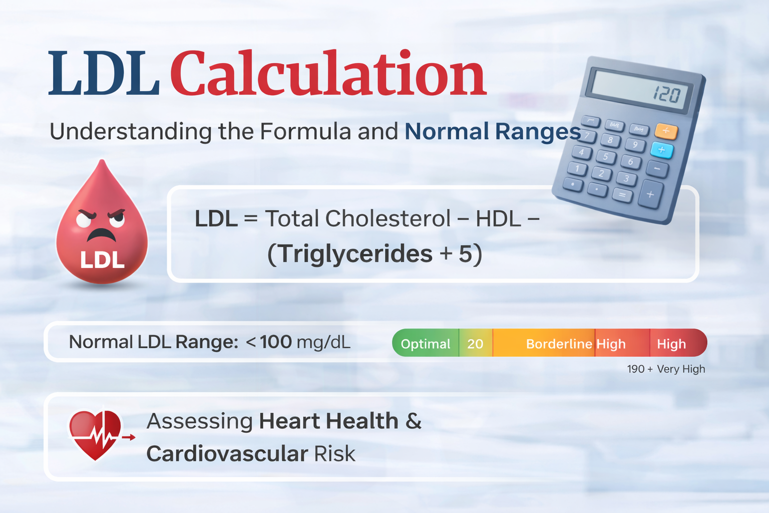 LDL Calculation: How It’s Measured and Why It Matters for Your Heart