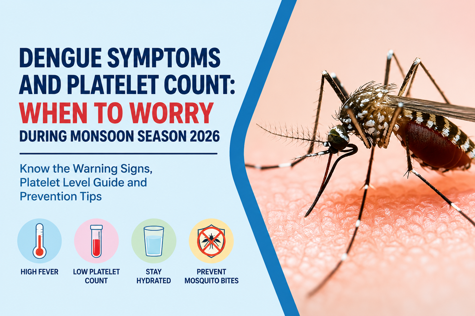Dengue Symptoms and Platelet Count: When to Worry During Monsoon Season